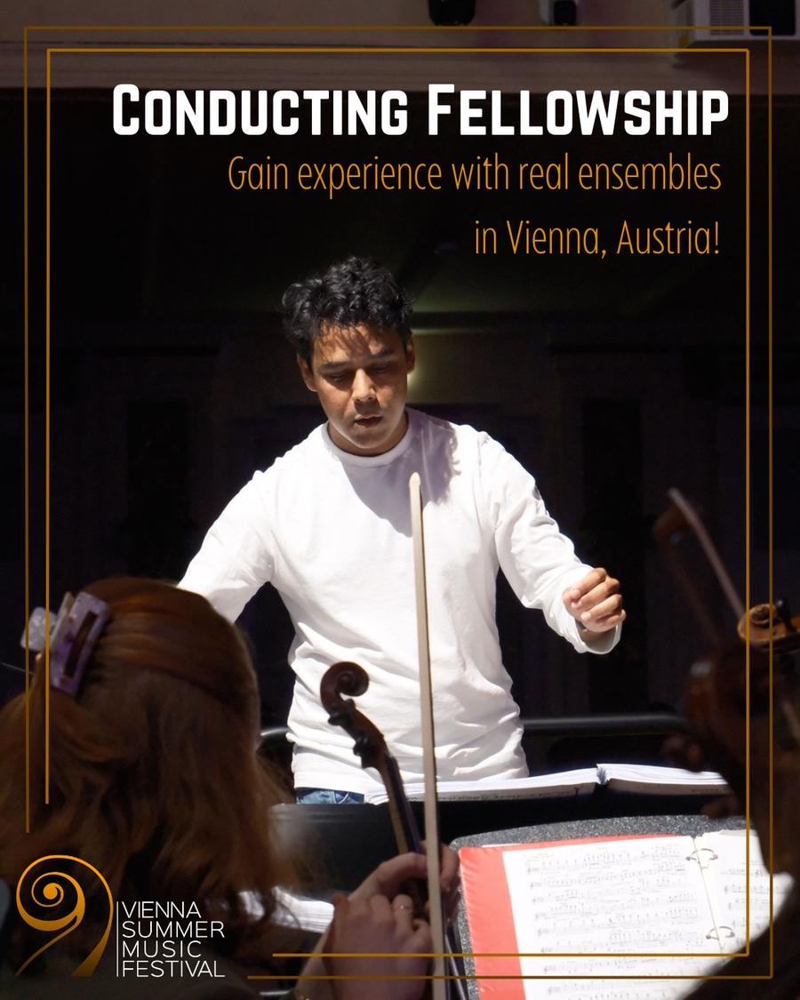 Calling all aspiring conductors: the Vienna Summer Music Festival is hosting our..., from the festival's Instagram